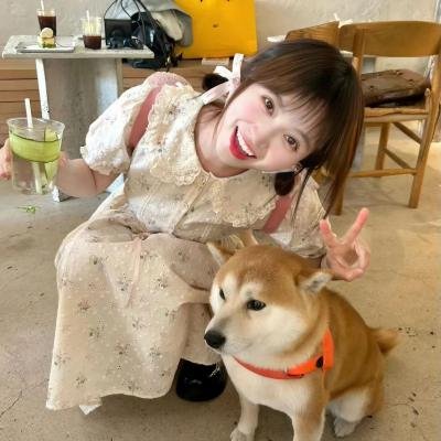 王小毛的奇幻人生